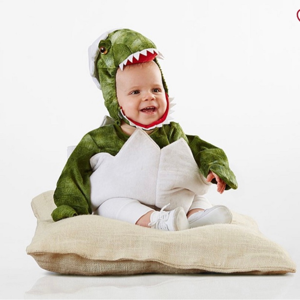 Pottery Barn Kids Green Dinosaur Costume